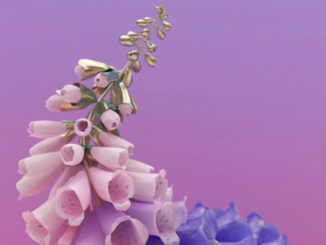 flume cover